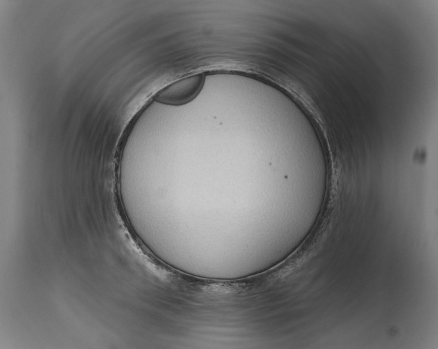 X0000114630898200911101234