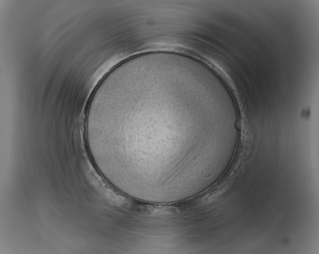 X0000114630899200911101234