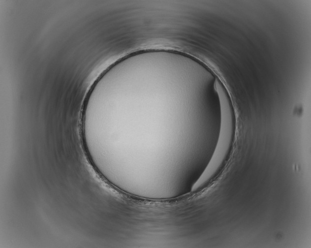 X0000114630901200911101234