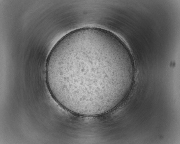 X0000114630903200911101234