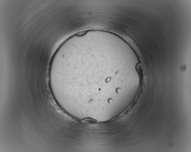 X0000114630904200911101234