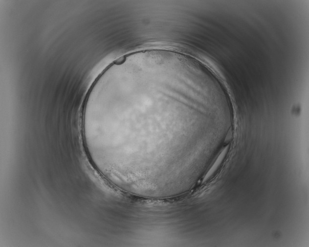 X0000114630907200911101234