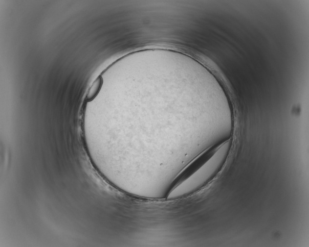 X0000114630908200911101234