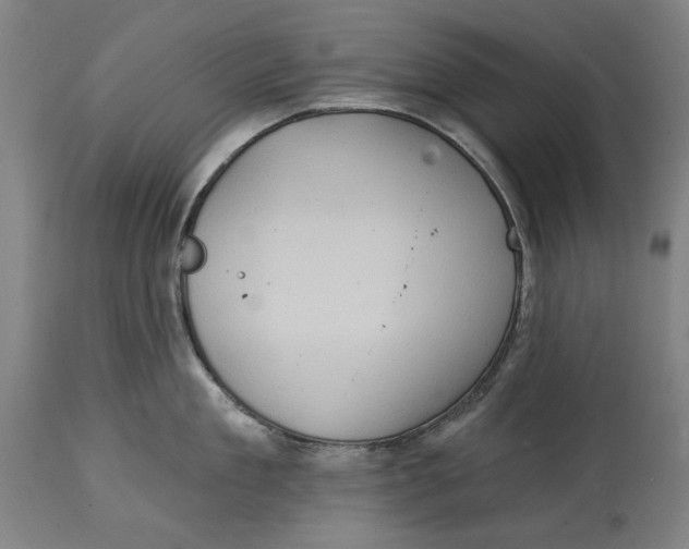 X0000114630909200911101234