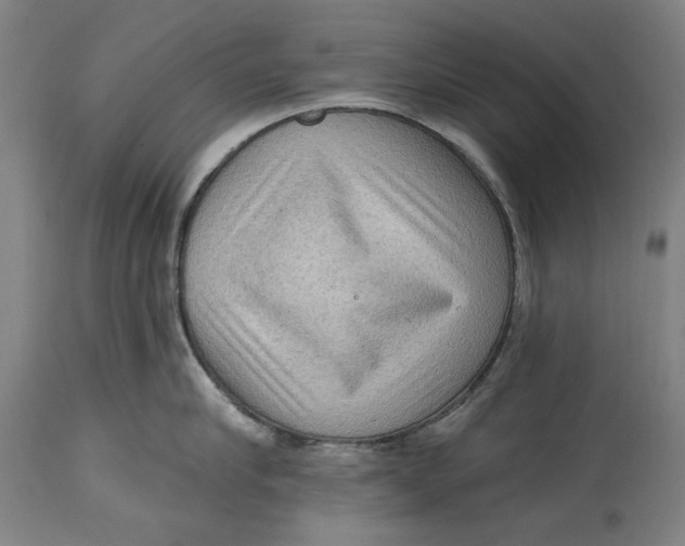 X0000114630910200911101234