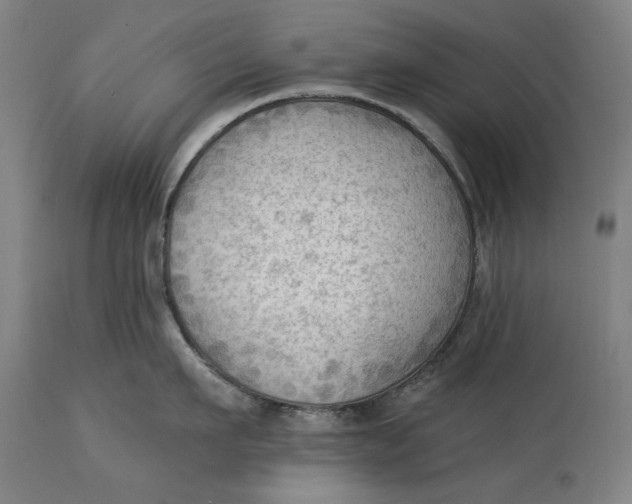 X0000114630911200911101234