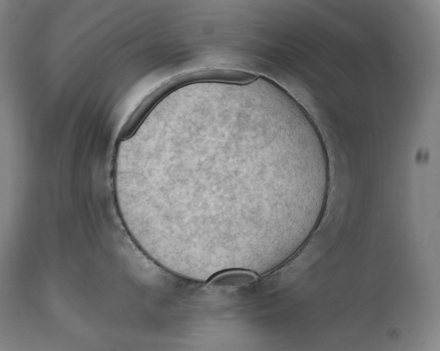 X0000114630912200911101234