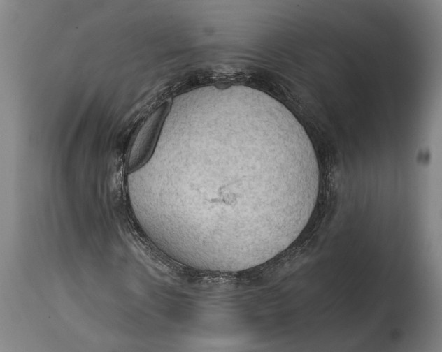 X0000114630914200911101233