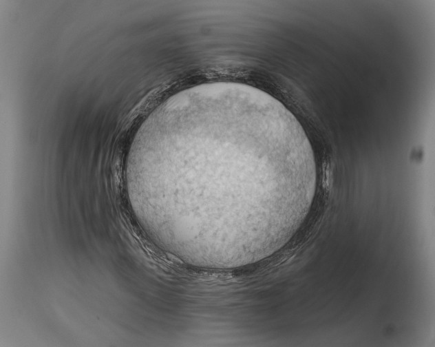 X0000114630915200911101233