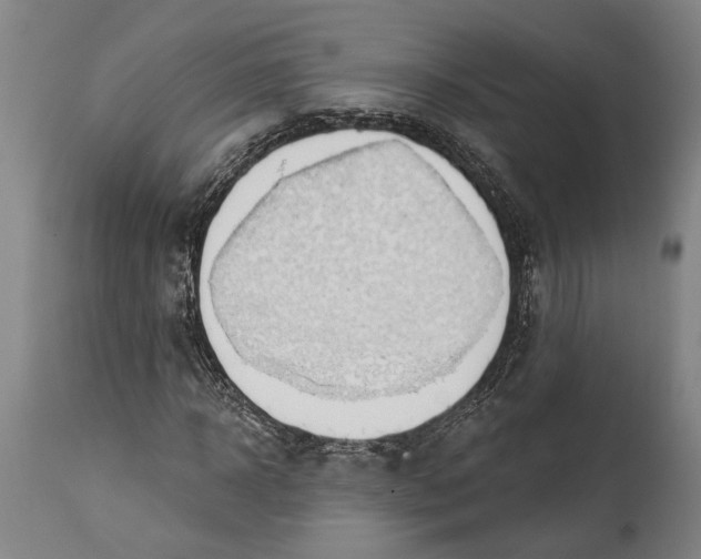 X0000114630918200911101233