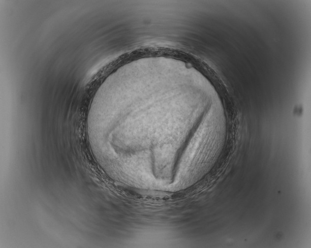 X0000114630919200911101233