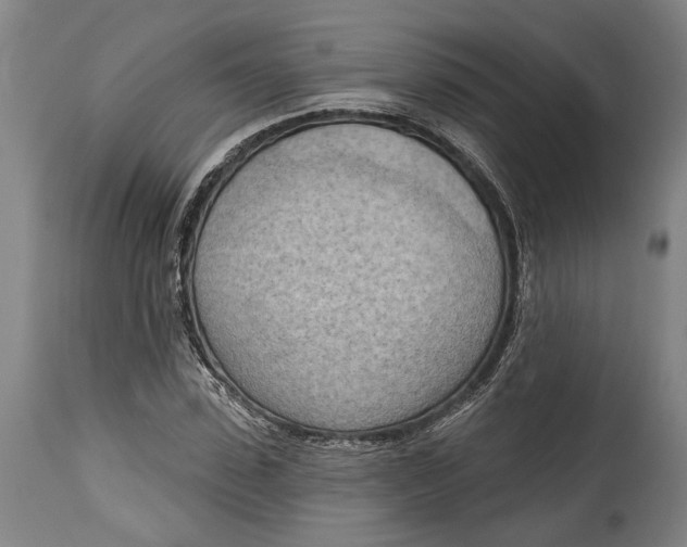 X0000114630923200911101233