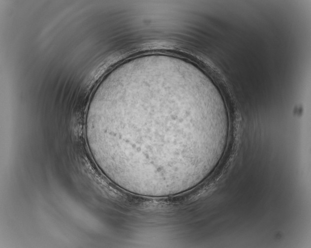 X0000114630929200911101233