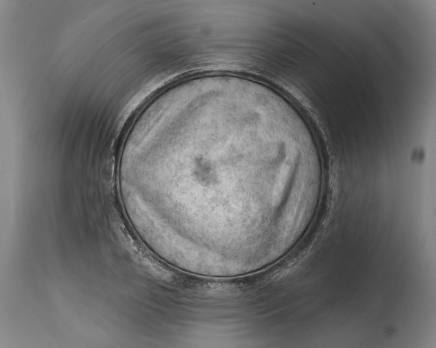 X0000114630933200911101233