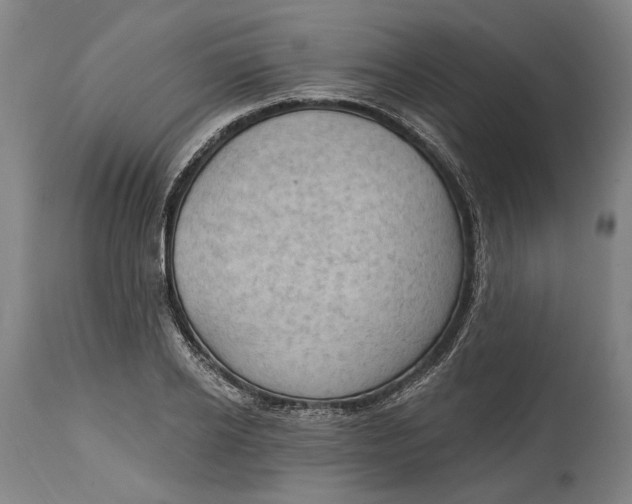 X0000114630934200911101233