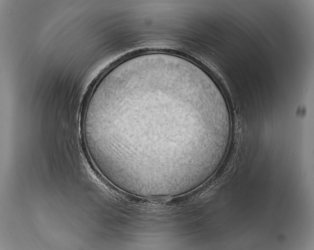 X0000114630935200911101233