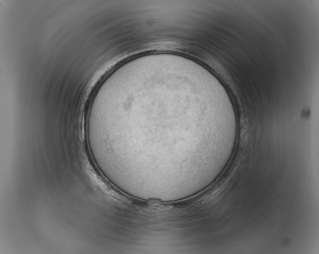 X0000114630939200911101233