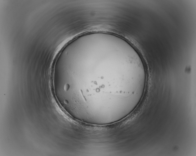 X0000114630941200911101233