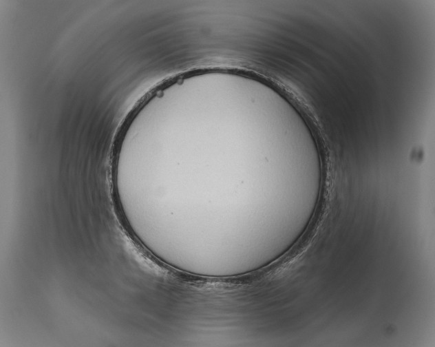 X0000114630942200911101233