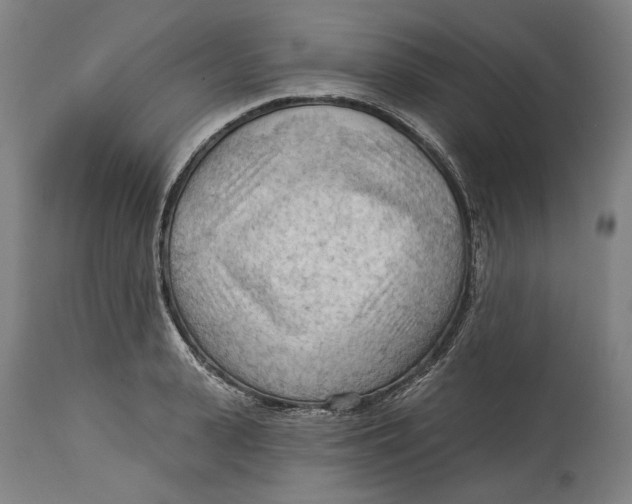 X0000114630943200911101233