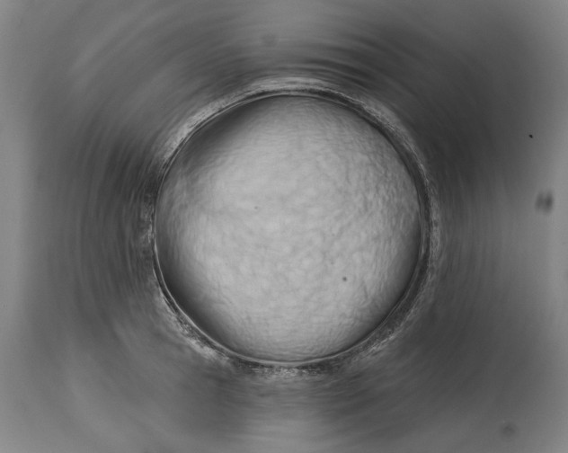 X0000114630945200911101233