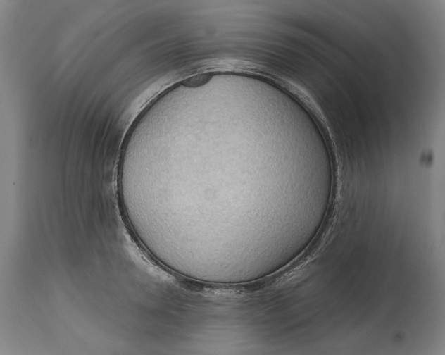 X0000114630946200911101233