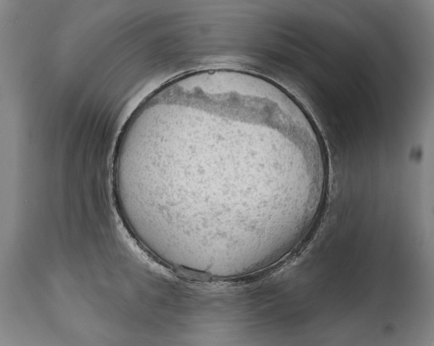 X0000114630949200911101233