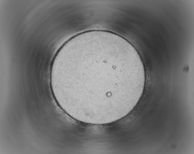 X0000114630950200911101233