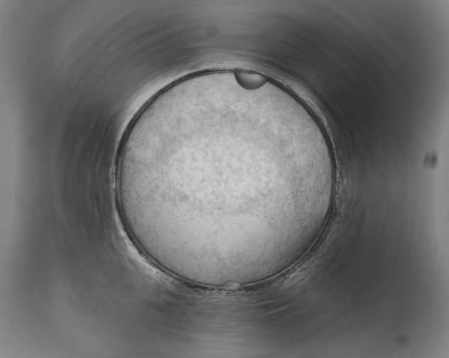 X0000114630951200911101233