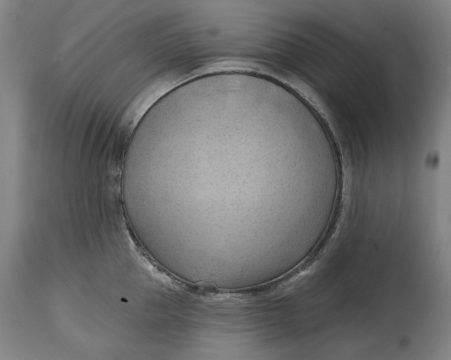 X0000114630953200911101233