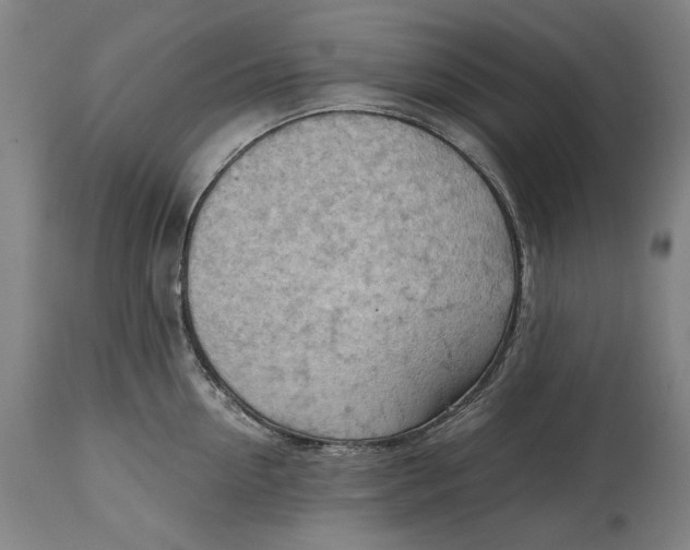 X0000114630954200911101233