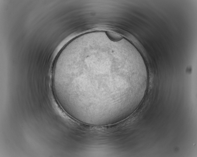 X0000114630955200911101233