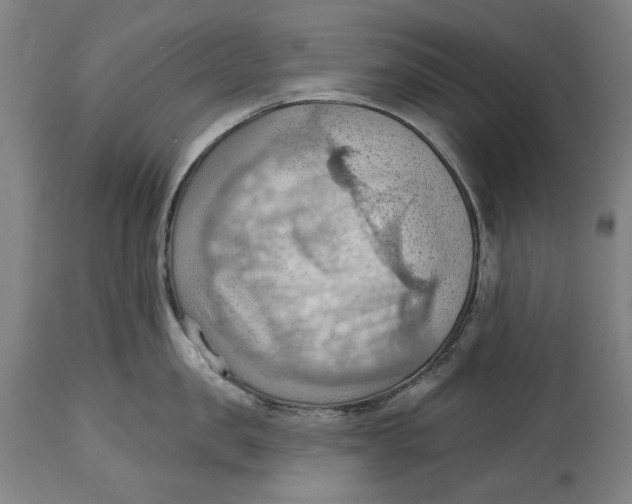 X0000114630957200911101233