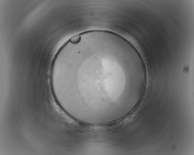 X0000114630958200911101233