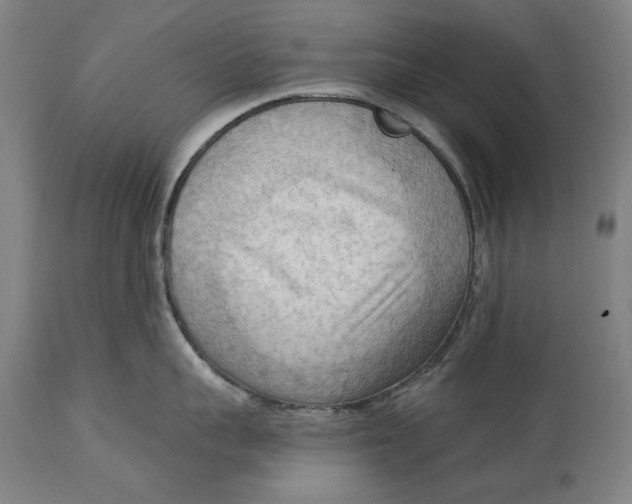 X0000114630959200911101233