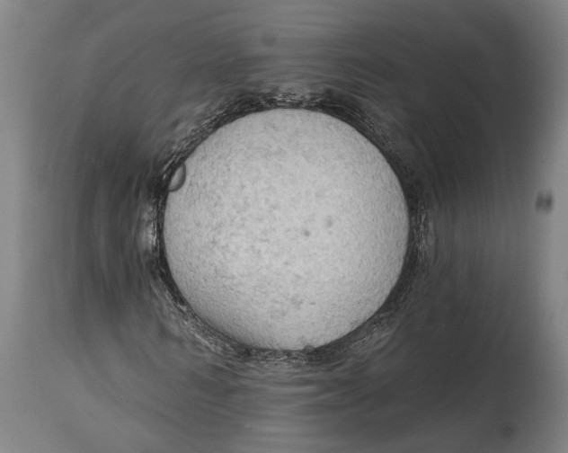 X0000114630962200911101233