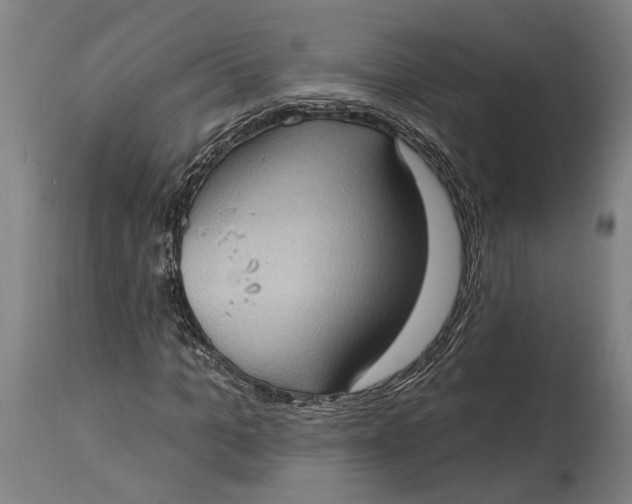 X0000114630965200911101233