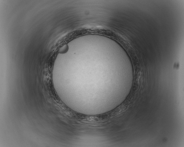 X0000114630966200911101233