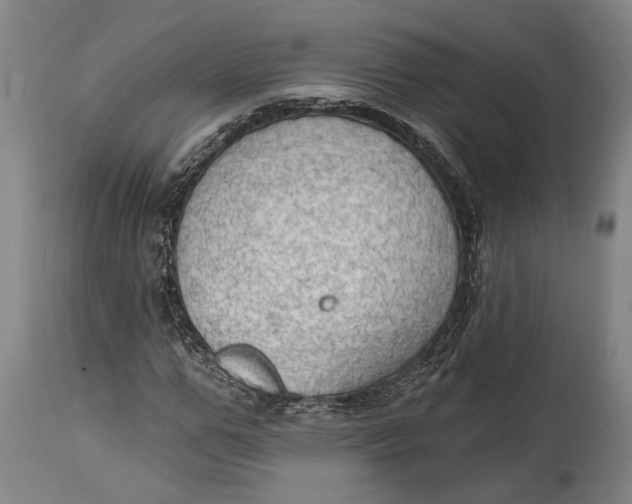 X0000114630967200911101233