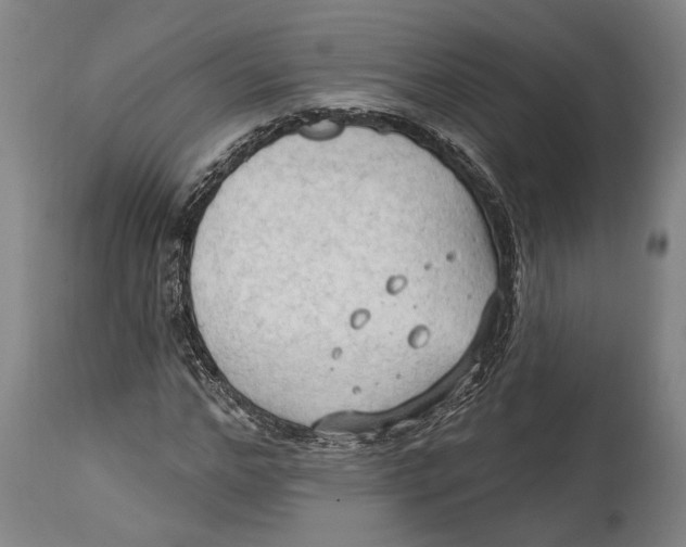 X0000114630968200911101233