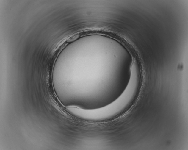 X0000114630969200911101233