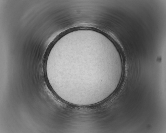 X0000114630972200911101233