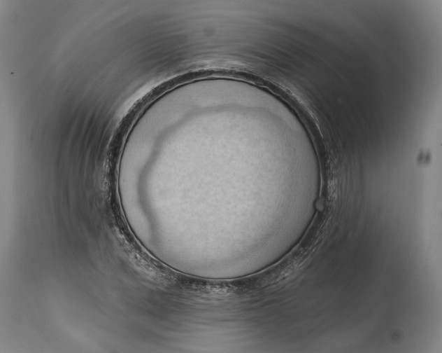 X0000114630975200911101233