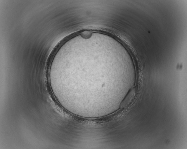 X0000114630976200911101233