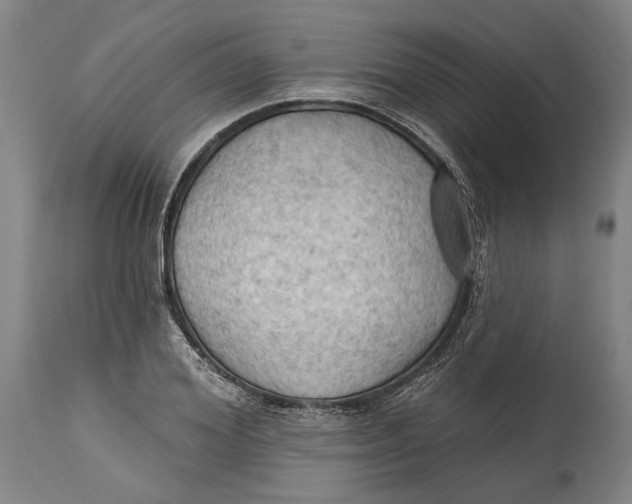 X0000114630980200911101233