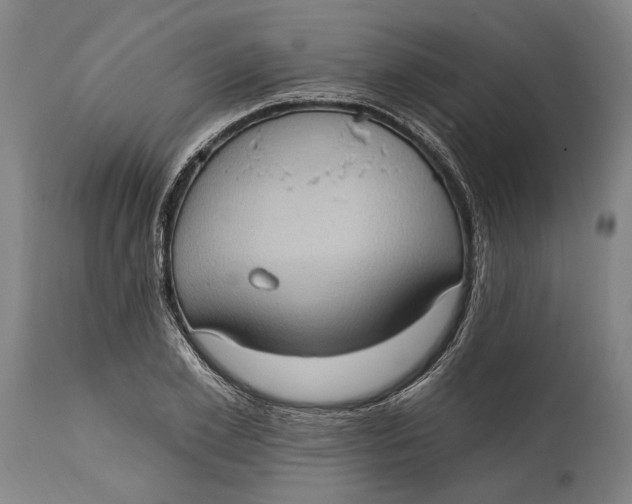 X0000114630981200911101233