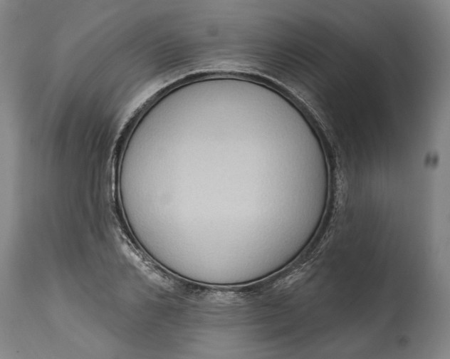 X0000114630982200911101233