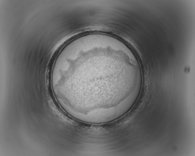 X0000114630983200911101233