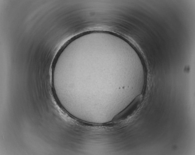 X0000114630988200911101232