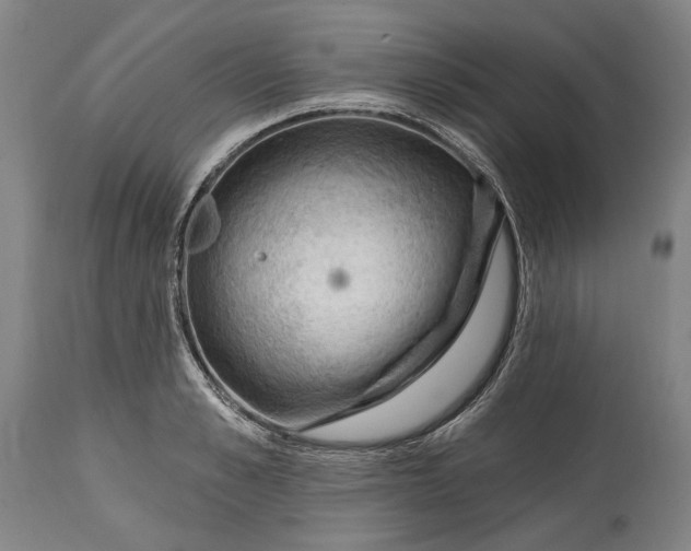 X0000114630989200911101232